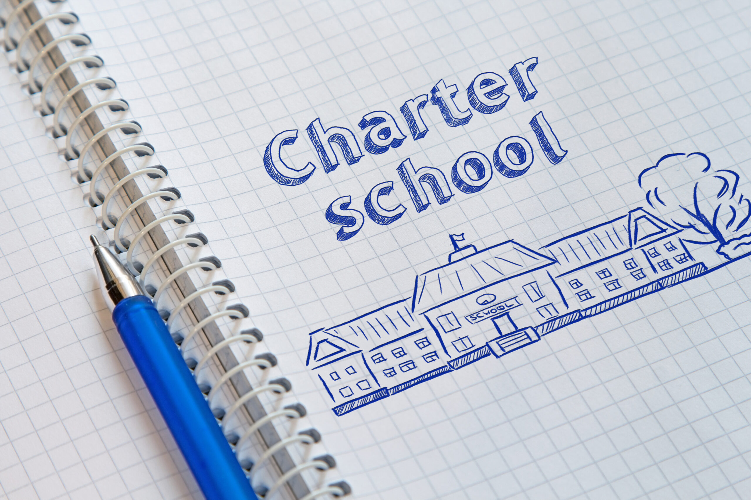 Charter Schools Present Options, Problems